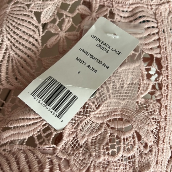 Bebe Lace open back dress in misty rose - Picture 5 of 5